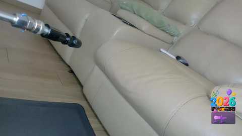 ohmysweetkitty free recording from 2026-01-09 22:07:00