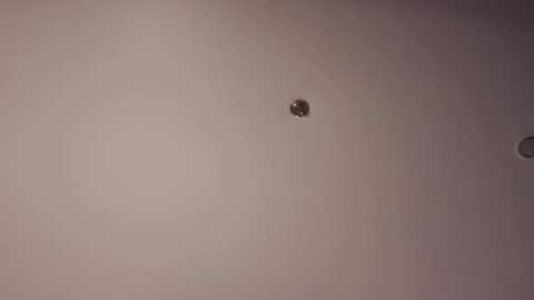 braxiboy free recording from 