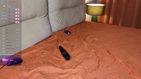 brightrays__ free recording from 2026-01-10 13:05:00