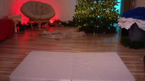 kittycaitlin free recording from 2026-01-10 00:27:00