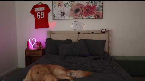 ari_lovexo free recording from 