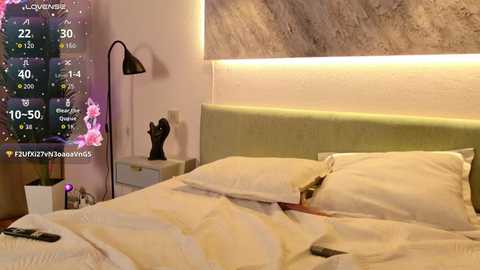 aurora_radiance free recording from 2026-01-11 18:21:00