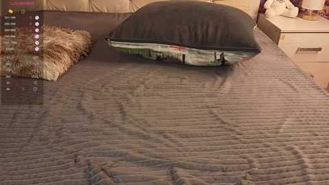 freyabyrne free recording from 2026-01-12 10:51:00