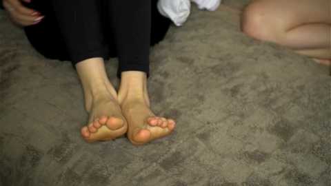 gerridae free recording from 2026-01-13 12:38:00