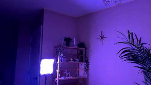 vixenp free recording from 