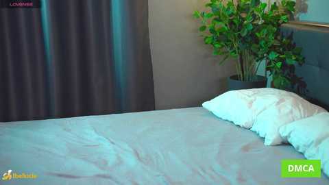 bellacle free recording from 