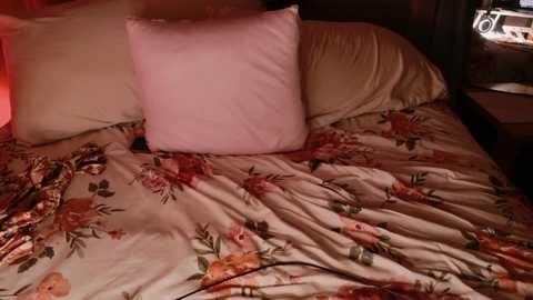 kaileeshy free recording from 