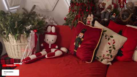 taanni_bc free recording from 2026-01-14 03:34:00