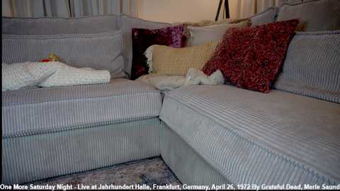 x_lily_x free recording from 