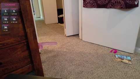 luckyducky02 free recording from 