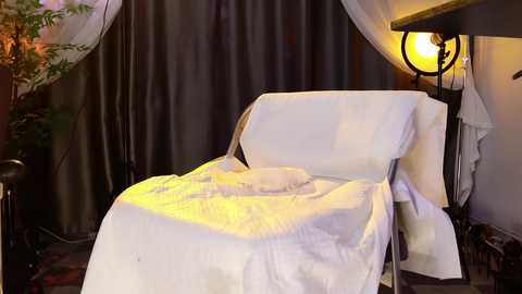 reaowna___ free recording from 2026-01-15 09:39:00