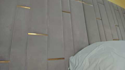 evalims free recording from 