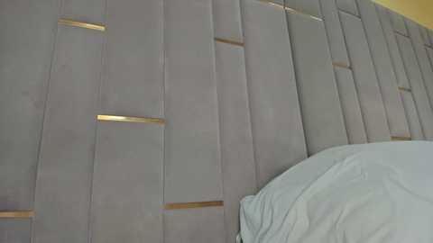 evalims free recording from 