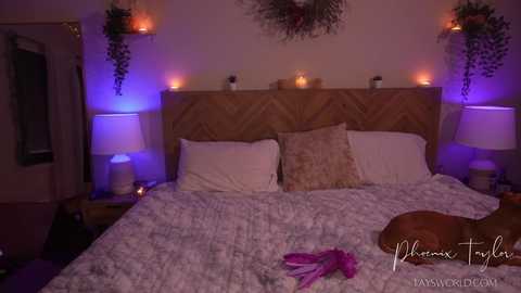 phoenix_taylor free recording from 