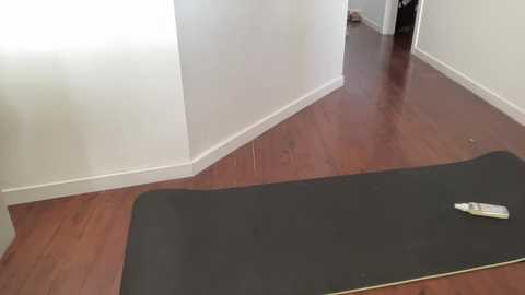 shysashy free recording from 