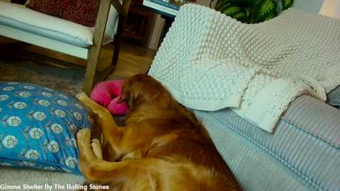 x_lily_x free recording from 2026-01-16 00:01:00