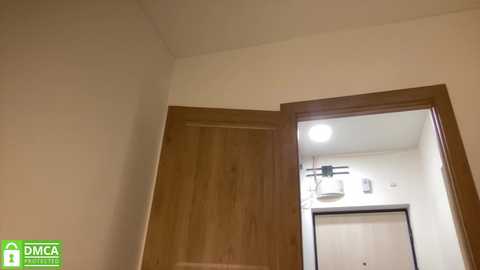 angel_from_sky free recording from 2026-01-17 13:39:00