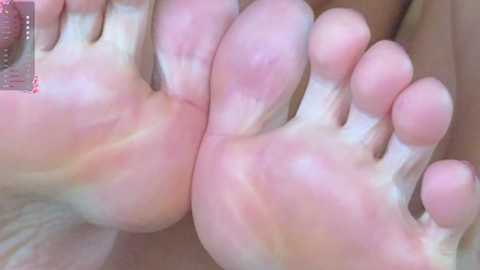 eva_ra free recording from 