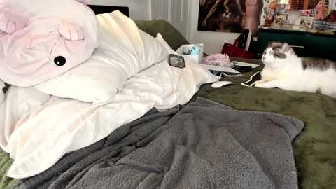 eve003300 free recording from 2026-01-28 00:47:00