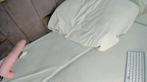 evalims free recording from 