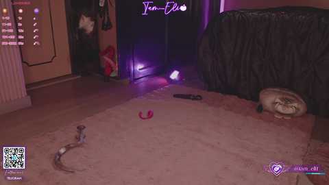 iam_eli free recording from 2026-01-19 04:41:00