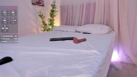 liia_sweett free recording from 2026-01-19 19:39:00