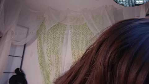 mollyflwers free recording from 2026-01-19 19:57:00