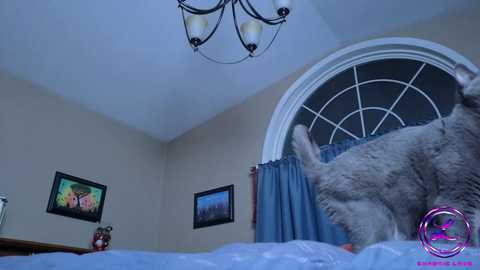 chroniclove free recording from 