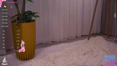 cinacandy free recording from 2026-01-20 14:19:00