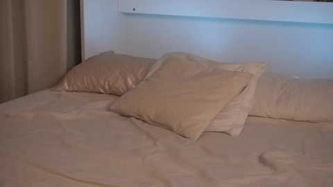 ellinrose free recording from 2026-01-28 00:27:00