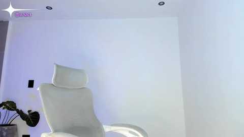 felinebloodbite free recording from 2026-01-28 00:47:00