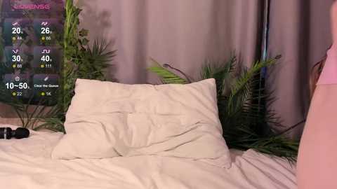 kittyloffe free recording from 2026-01-20 11:18:00