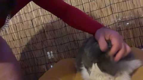 machinebumkelly free recording from 2026-01-20 01:49:00