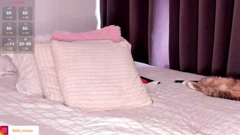 bella_musee free recording from 2026-01-21 21:23:00