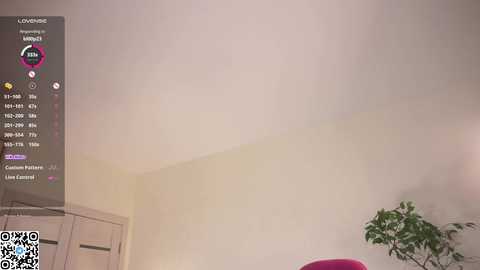 forestproject free recording from 2026-01-28 02:54:00