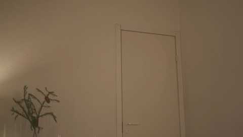 _2strangers free recording from 2026-01-22 08:29:00