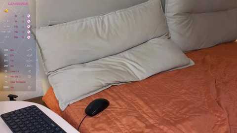 brightrays__ free recording from 2026-01-28 00:02:00