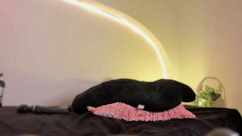 katiepeach_ free recording from 