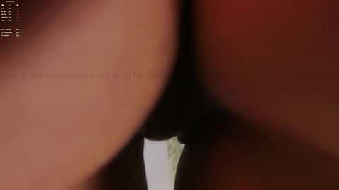 mollyflwers free recording from 