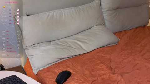 brightrays__ free recording from 2026-01-28 00:02:00