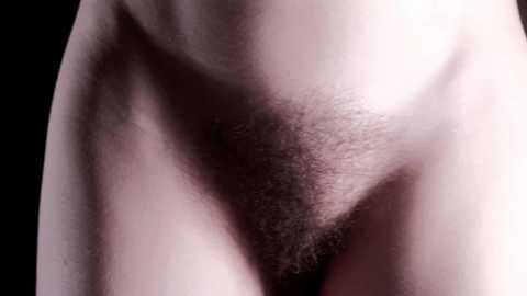 club_void free recording from 