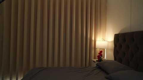 naughtysammx free recording from 2026-01-29 00:19:00