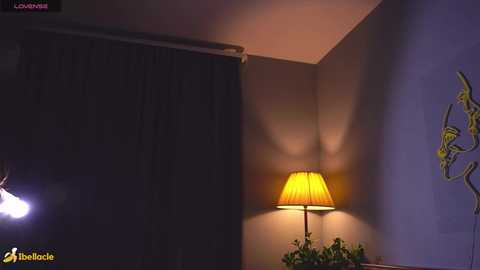 bellacle free recording from 2026-01-28 00:47:00