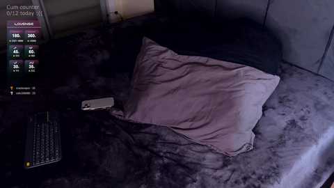 katana_white free recording from 2026-01-24 14:12:00