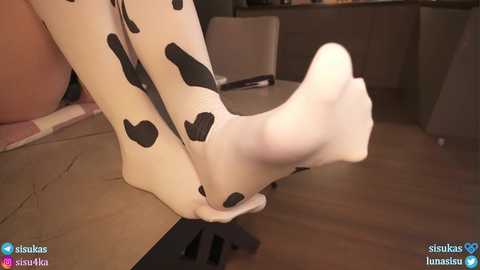 sisukass free recording from 