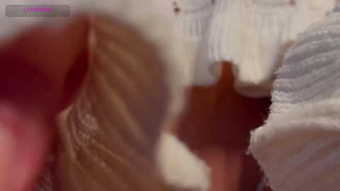 yourhanna free recording from 2026-01-24 15:37:00