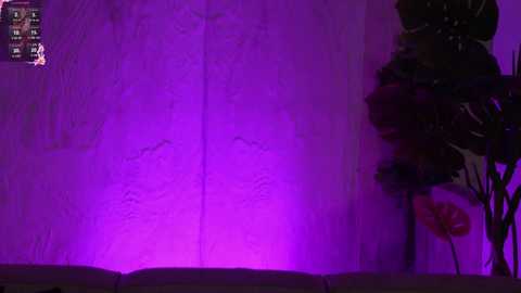 kira0541 free recording from 2026-01-25 11:30:00