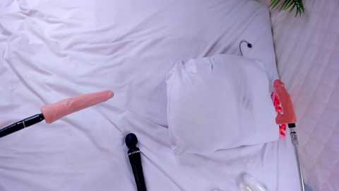 dakota_blare free recording from 2026-01-26 19:52:00