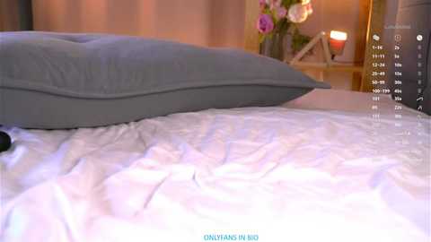 oke_doke free recording from 