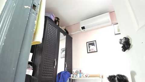 xdreamangel free recording from 2026-01-28 00:47:00